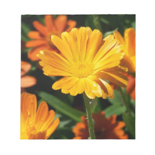 Yellow Blossoms Flowers Art Peace Love Destiny Notepad