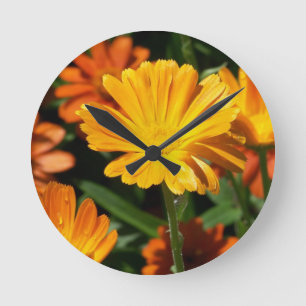 Yellow Blossoms Flowers Art Peace Love Destiny Round Clock