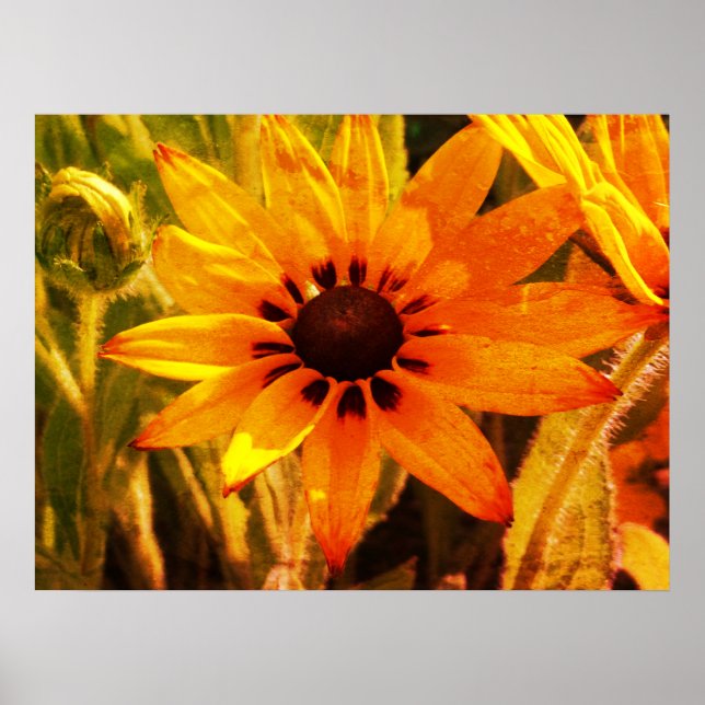 Yellow Blossoms Photo Value Poster Paper (Front)