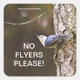 Yellow & Blue bird No Flyers Please Sticker