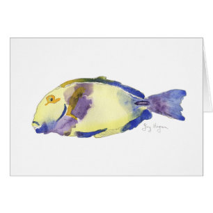 Yellow/Blue Fish Cards