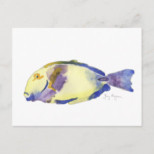 Yellow/Blue Fish Postcard