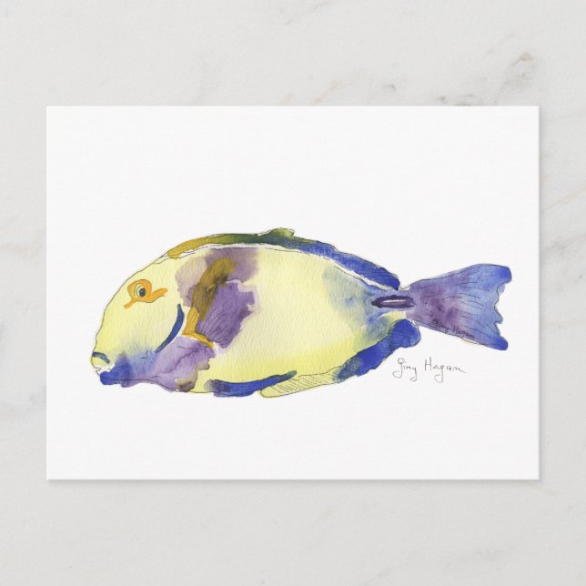 Yellow/Blue Fish Postcard (Front)