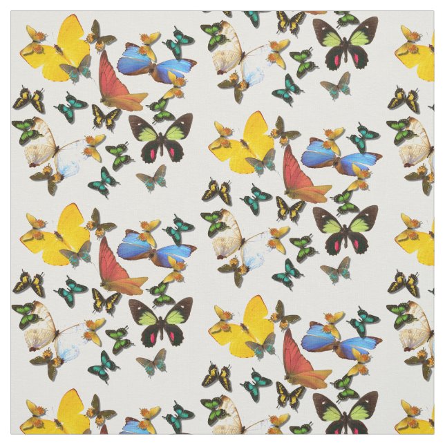 Yellow Blue Red Butterflies Print Pattern Fabric (Swatch)