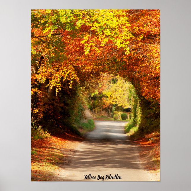 Yellow Bog Kilcullen Poster (Front)