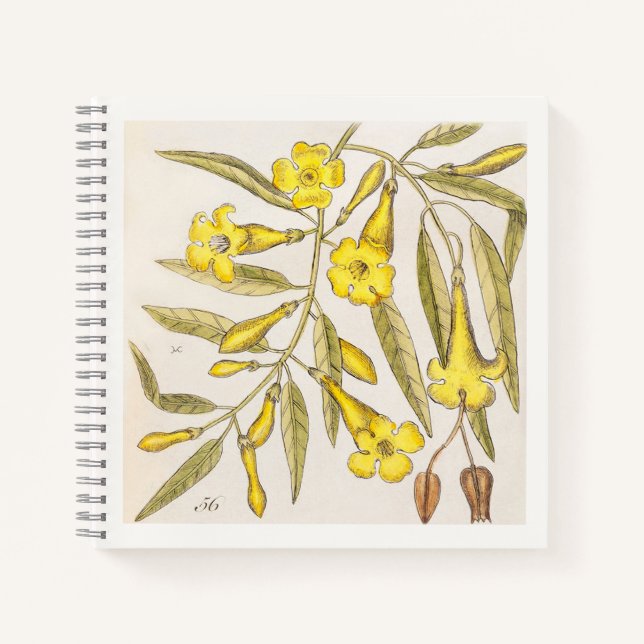 Yellow Botanical 18th Century Art Notebook (Front)