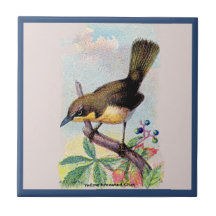 Yellow-breasted Chat Ceramic Tile
