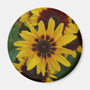 Yellow Brown Flowers magnet
