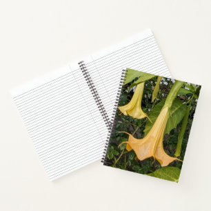 Yellow Brugmansia Bloom Floral Notebook