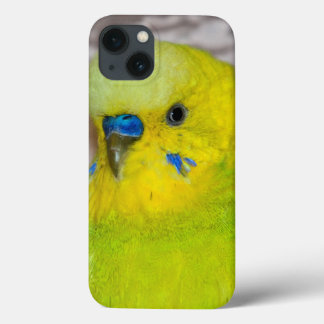 Yellow Budgie iPad Case
