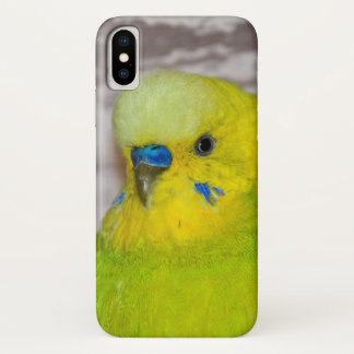 Yellow Budgie iPhone X Case