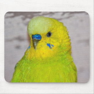 Yellow Budgie Mousemat
