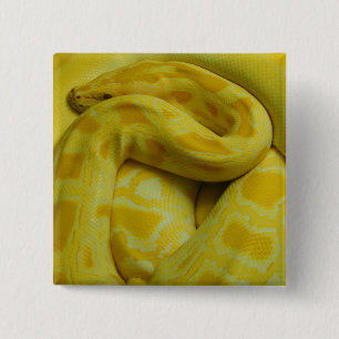 Yellow Burmese Python 15 Cm Square Badge