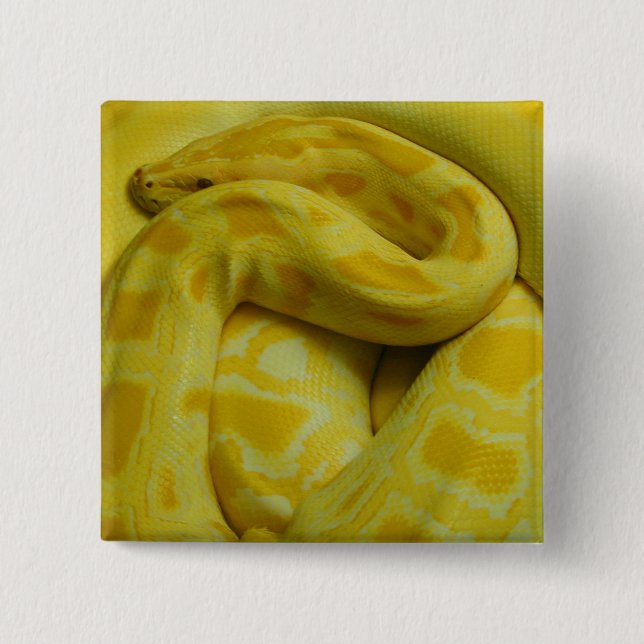 Yellow Burmese Python 15 Cm Square Badge (Front)