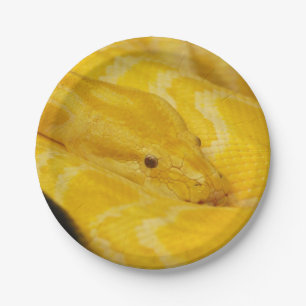Yellow Burmese Python Paper Plate