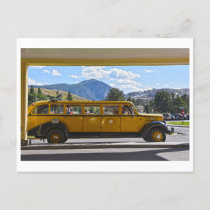 Yellow Bus, Yellowstone National Park, Wyoming Pos Postcard