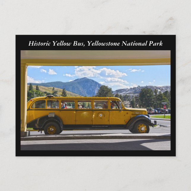Yellow Bus, Yellowstone National Park, Wyoming Postcard (Front)