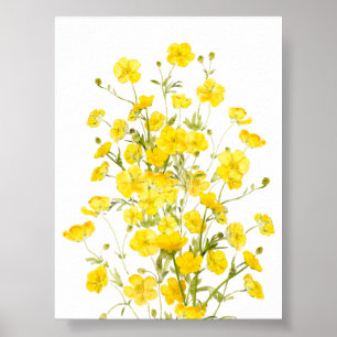 yellow buttercup flowers  bouquet  watercolor  poster