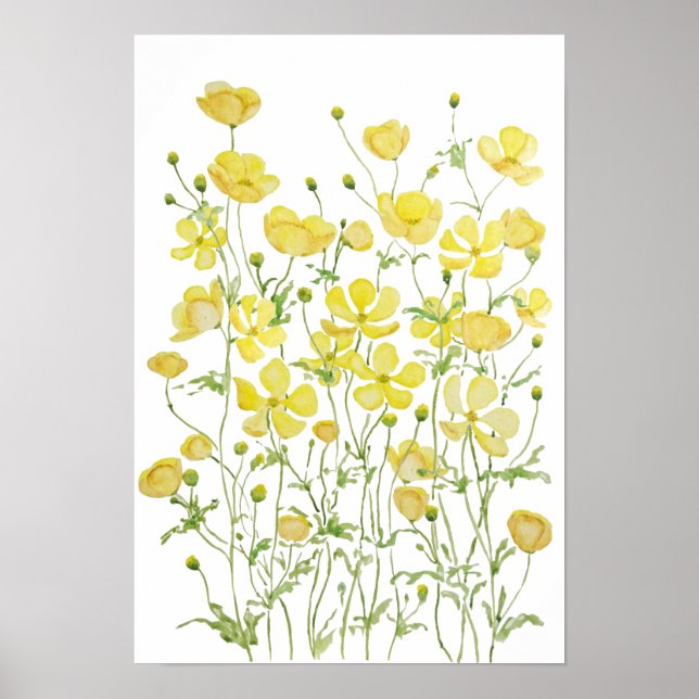yellow buttercup flowers field watercolor  poster (Front)