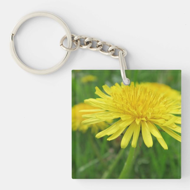 yellow, buttercup, plant, dandelion, meadow, key ring (Front)