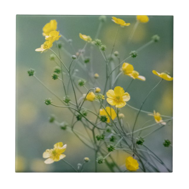 Yellow buttercups tile (Front)