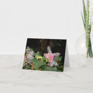 Yellow Butterflies on Tropical Leaves  Holiday Card