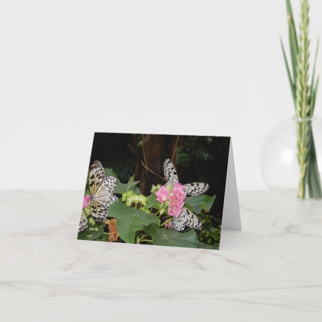 Yellow Butterflies on Tropical Leaves  Holiday Card (Front)