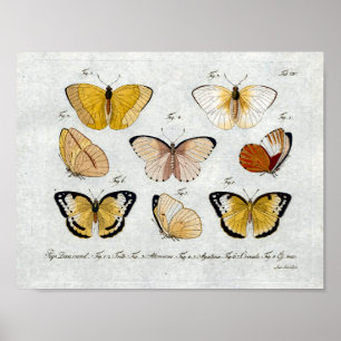Yellow Butterflies Vintage Print Download