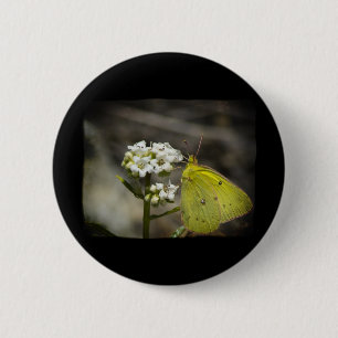 Yellow Butterfly 6 Cm Round Badge