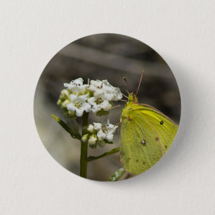 Yellow Butterfly 6 Cm Round Badge