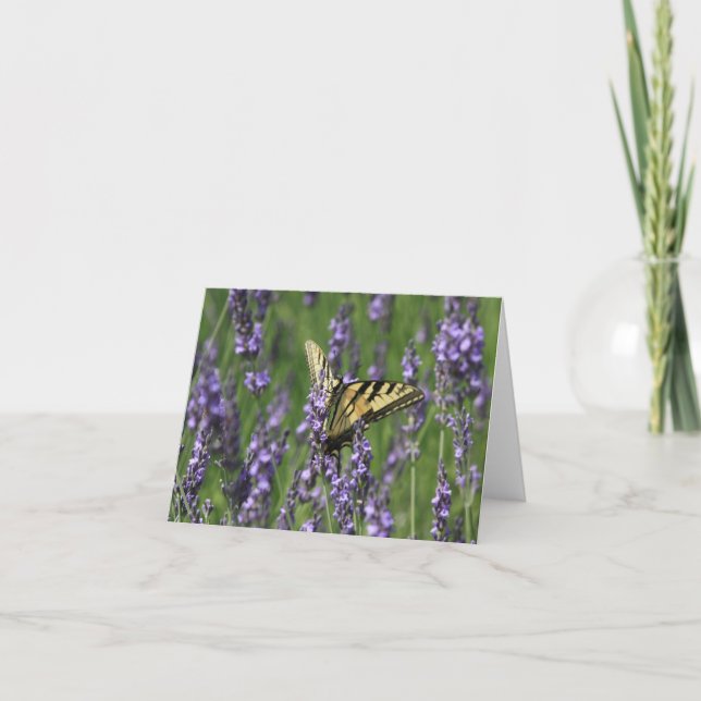 Yellow Butterfly Alighting Lavender Note Card (Front)