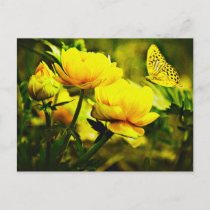 Yellow Butterfly and the Rose Postcard