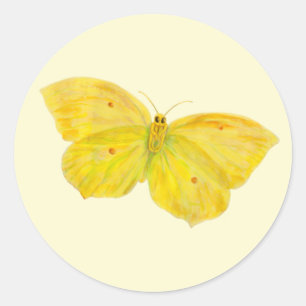Yellow Butterfly Common Brimstone flying   Classic Round Sticker