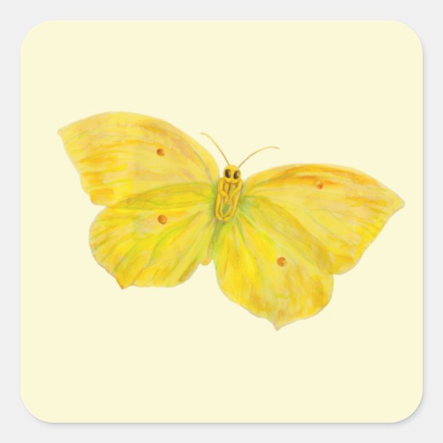 Yellow Butterfly Common Brimstone flying   Square Sticker (Front)