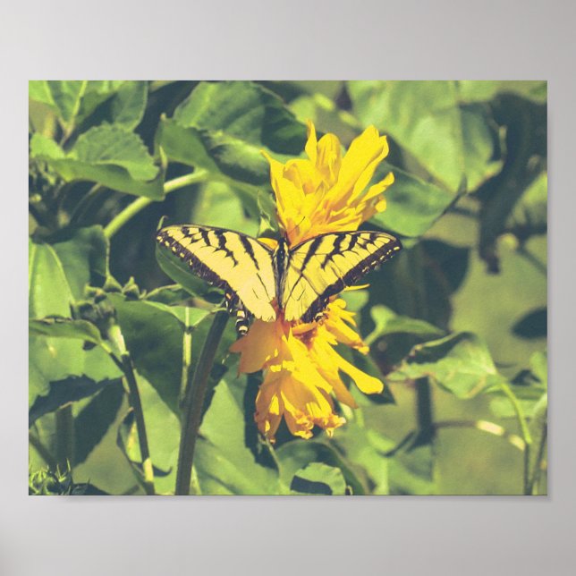 Yellow Butterfly & Flowers Poster (Front)