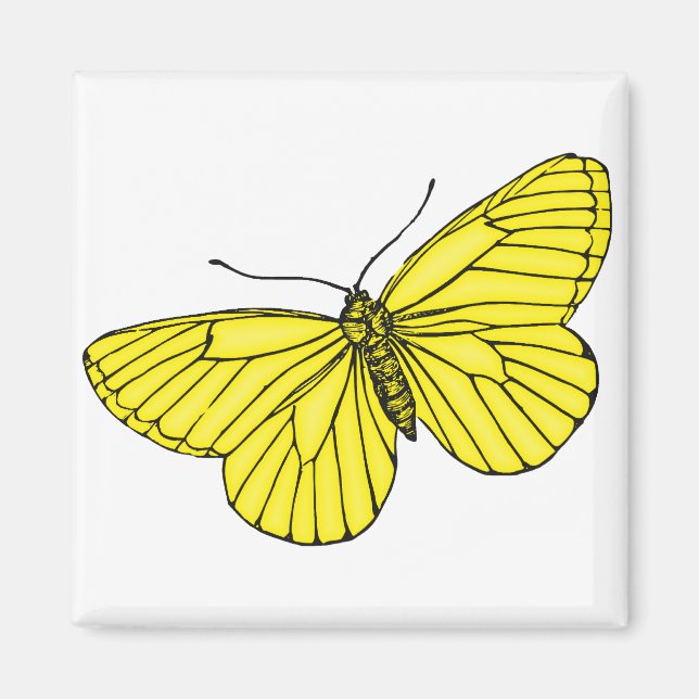 Yellow Butterfly Magnet (Front)
