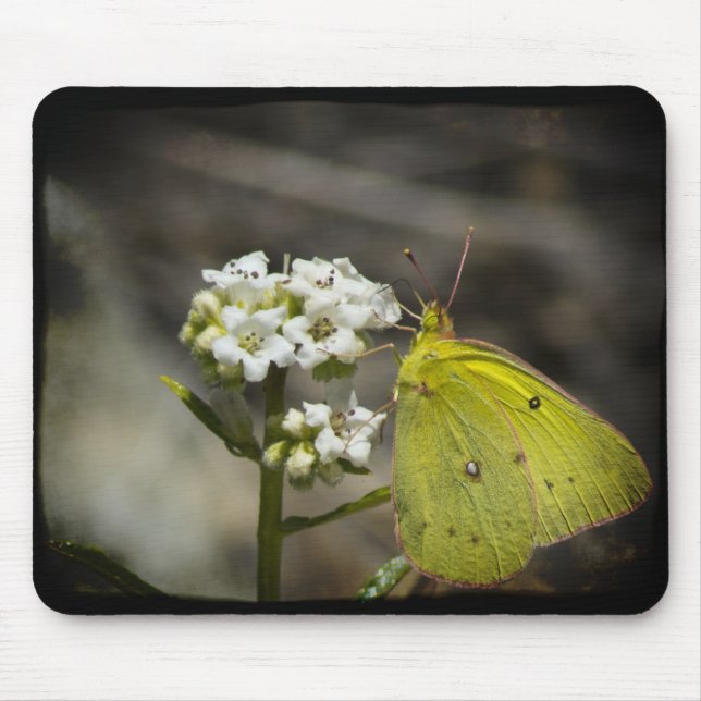 Yellow Butterfly Mouse Mat (Front)