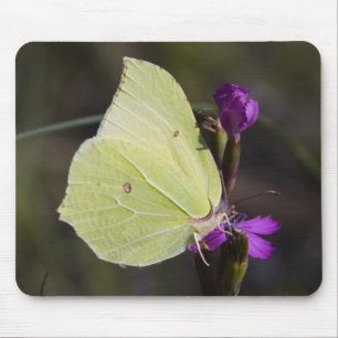 yellow butterfly mouse mat