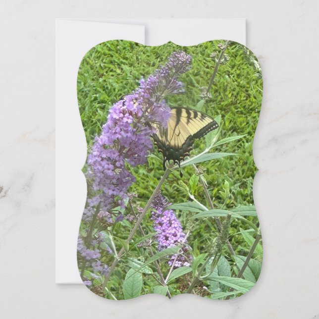 Yellow Butterfly Note card (Front)
