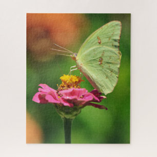 Yellow Butterfly on Pink Flower Nature Big Puzzle