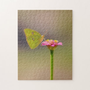 Yellow Butterfly on Pink Zinnia Flower Jigsaw Puzzle