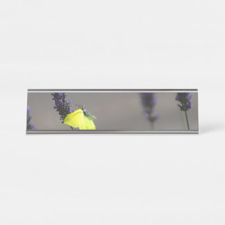 Yellow Butterfly on Purple Lavender Macro Photo Desk Name Plate