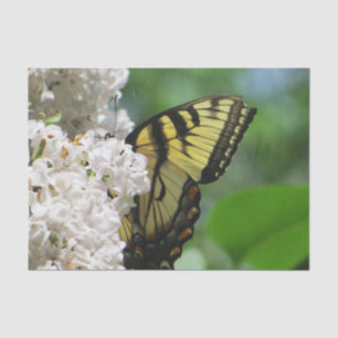 Yellow Butterfly on White Lilacs Tissue Paper