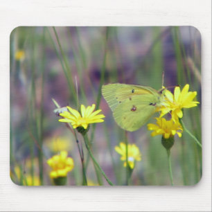 Yellow butterfly on yellow flower mouse mat