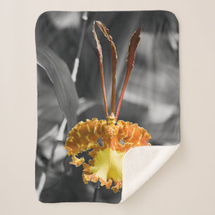 Yellow Butterfly Orchid Flower Sherpa Blanket