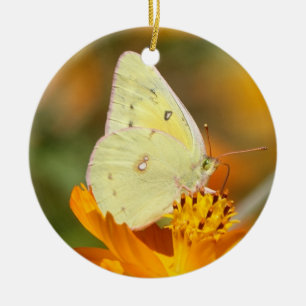 Yellow butterfly ornament