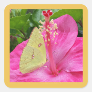 Yellow Butterfly & Pink Flower, square sticker