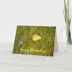 Yellow Butterfly Wildflowers Birthday Card