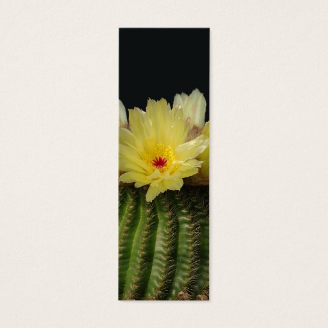 Yellow Cactus Flower (Front)