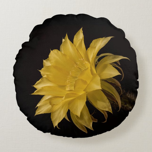 Yellow cactus flower in bloom round cushion (Front)